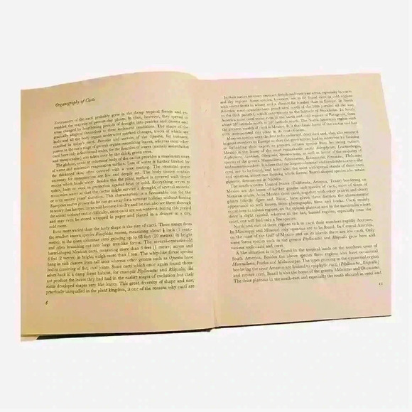 Decorative Cacti Guide to Succulent House Plants Hardcover 1973 - Picture 9 of 9